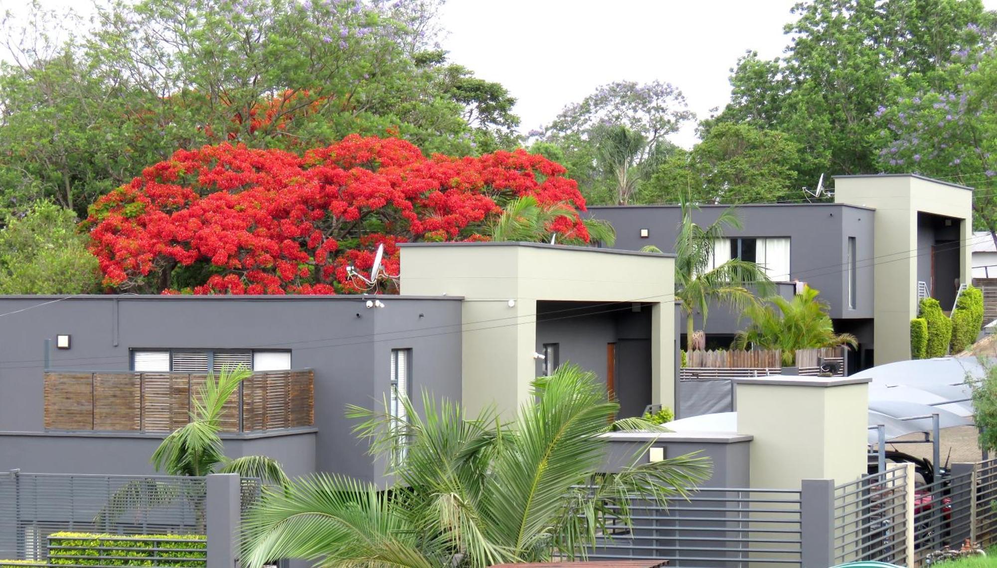 The Executive - Exclusive Self-Catering Apartments - Ezulwini Exterior foto